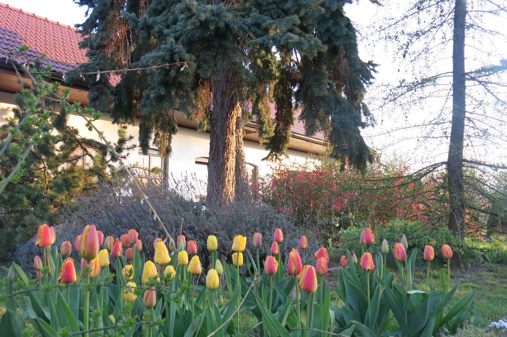 Appartamento La Ferme De Sissi Smrzice Esterno foto