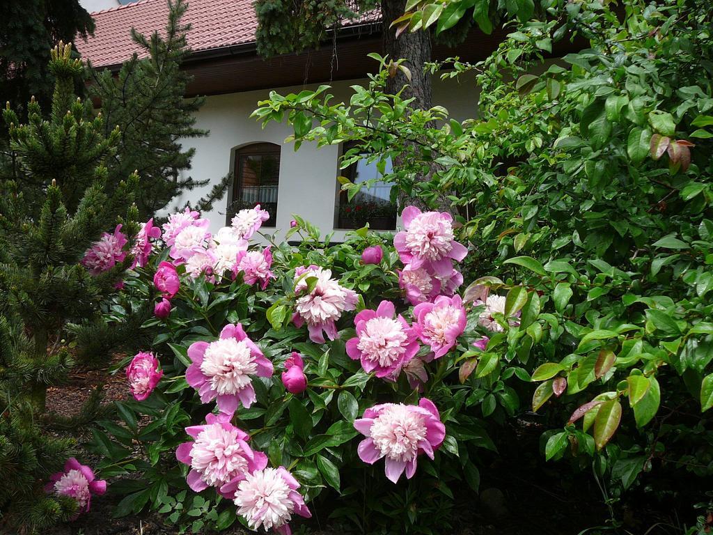 Appartamento La Ferme De Sissi Smrzice Esterno foto
